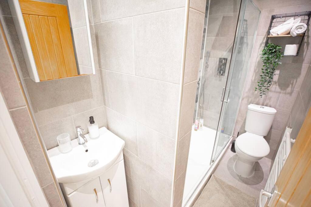 Hammersmith Apollo 1 Bedroom Apartment London